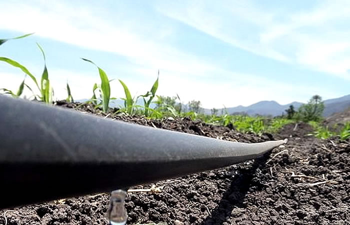 Riegos por aspersión o goteo