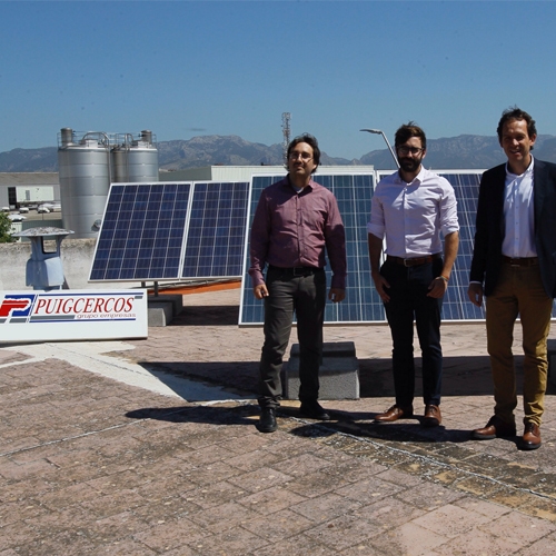 Subvenciones energías renovables