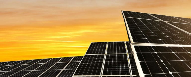 Expo Puigcercós 2020