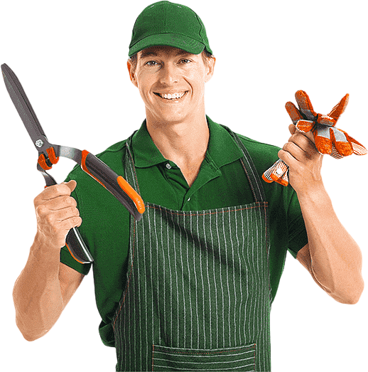 Jardinero Cesped Artificial Mallorca